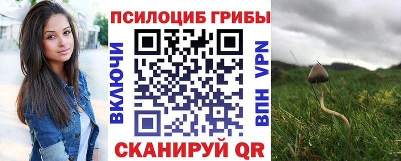 Галлюциногенные грибы Magic Shrooms  Купить закладки  Буинск 